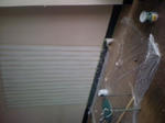 3ff3329d.JPG