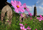 acd1010170700003-p1.jpg