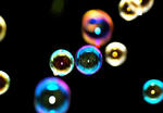 SOAP_L