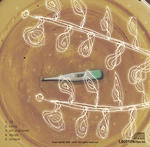 CD2