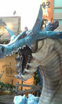 090429_144547.jpg