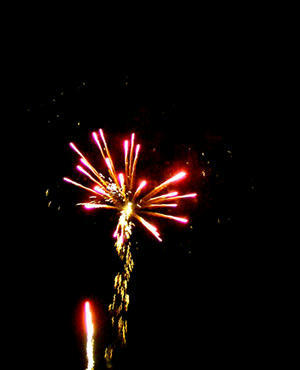 hanabi5_s.jpg