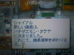 HI3B0668.jpg