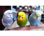 200910271031000_ed_ed.jpg