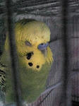100417_204301.jpg