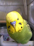 100503_140148.jpg