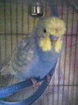 100427_193038.jpg