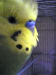 100427_193557.jpg