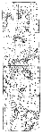 jituroku2.gif