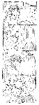 jituroku-5.gif