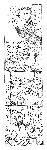 seibutu-cd-0-2.gif
