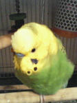 200903141754000.jpg