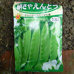 P1030120.JPG