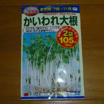 P1050230.JPG