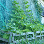 P1050244.JPG