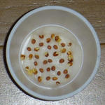 P1050999.JPG