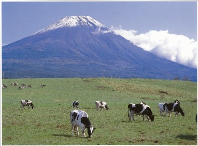 富士山