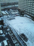 201002020638000.jpg