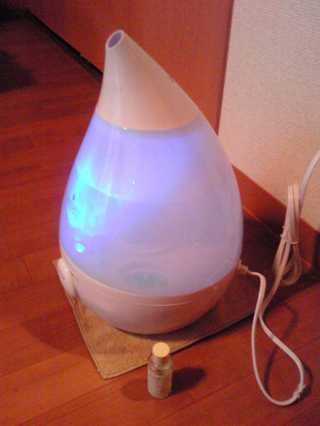 SBSH0030.JPG