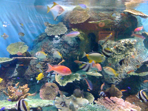 2009-09-12_16.50.11.jpg