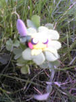 Image030.jpg
