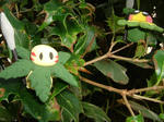 DSCF3246.JPG