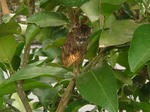 DSCF3269.JPG