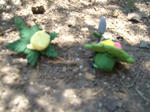 DSCF3307.JPG