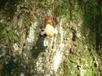 DSCF3334.JPG