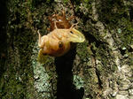 DSCF3335.JPG