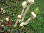 DSCF3397.JPG