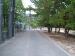 DSCF3404.JPG