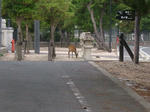 DSCF3405.JPG