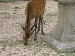 DSCF3406.JPG