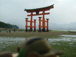 DSCF3408.JPG