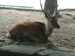 DSCF3412.JPG