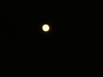 DSCF3420.JPG