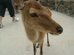 DSCF3428.JPG