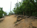 DSCF3437.JPG