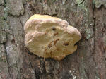 DSCF3439.JPG
