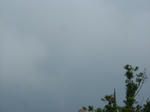 DSCF3441.JPG