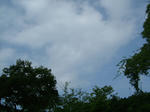 DSCF3448.JPG
