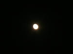 DSCF3472.JPG