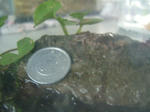 DSCF3905.JPG