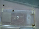 DSCF3909.JPG
