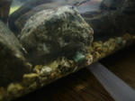 DSCF3903.JPG