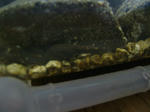DSCF3907.JPG