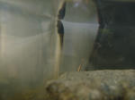 DSCF3901.JPG