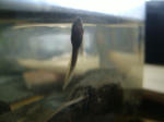 DSCF3902.JPG
