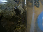 DSCF3954.JPG
